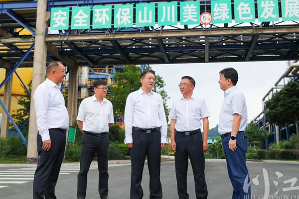 杨林兴：把新型工业化摆在更加突出的位置，让“四化同步”发展的主引擎作用更加凸显